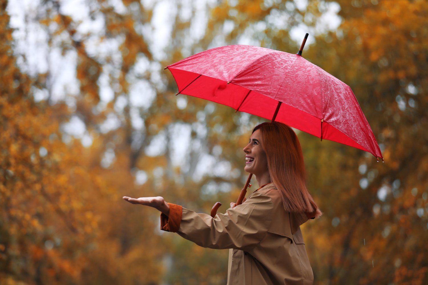Photo of woman with umbrella in autumn park on rainy day