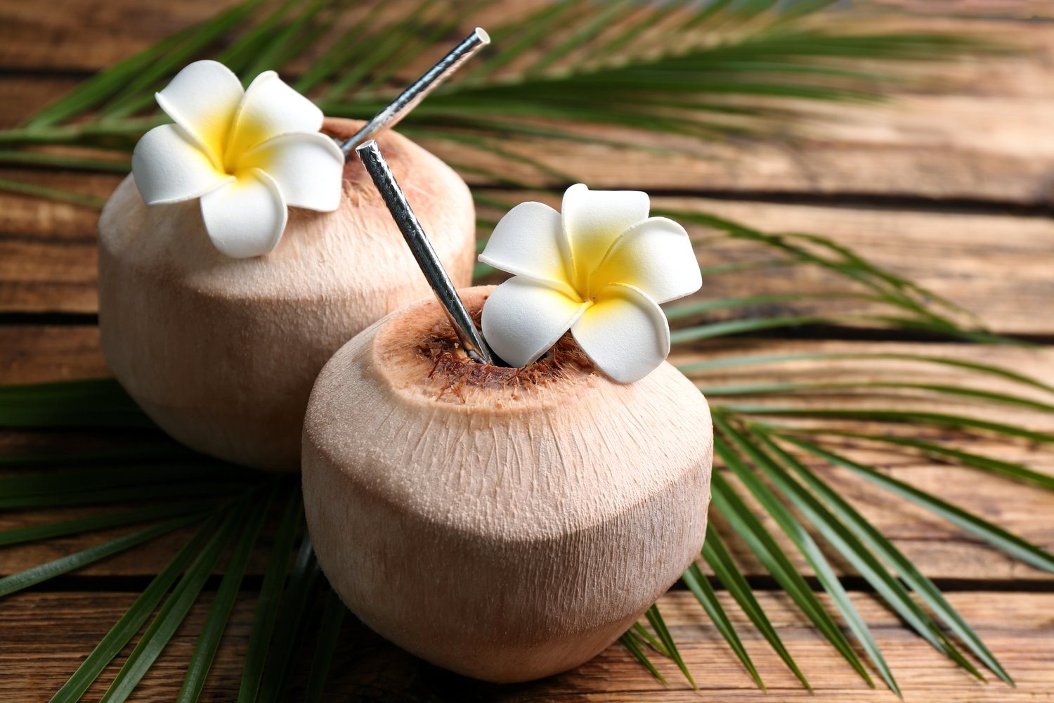Photo of fresh coconuts with drinking straw and flowers on wooden table, closeup