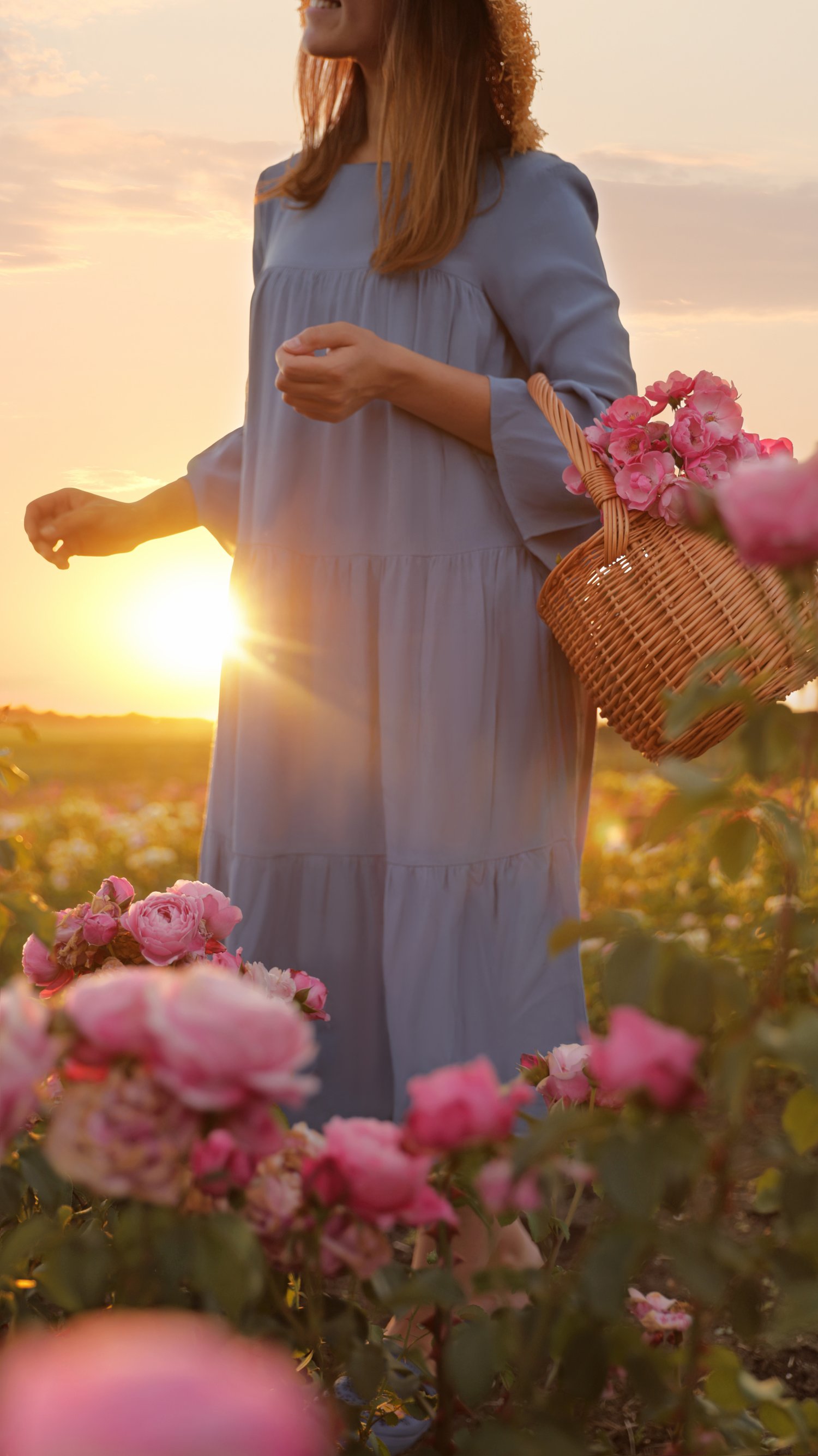 Photo of woman with basket of roses in beautiful blooming field, closeup