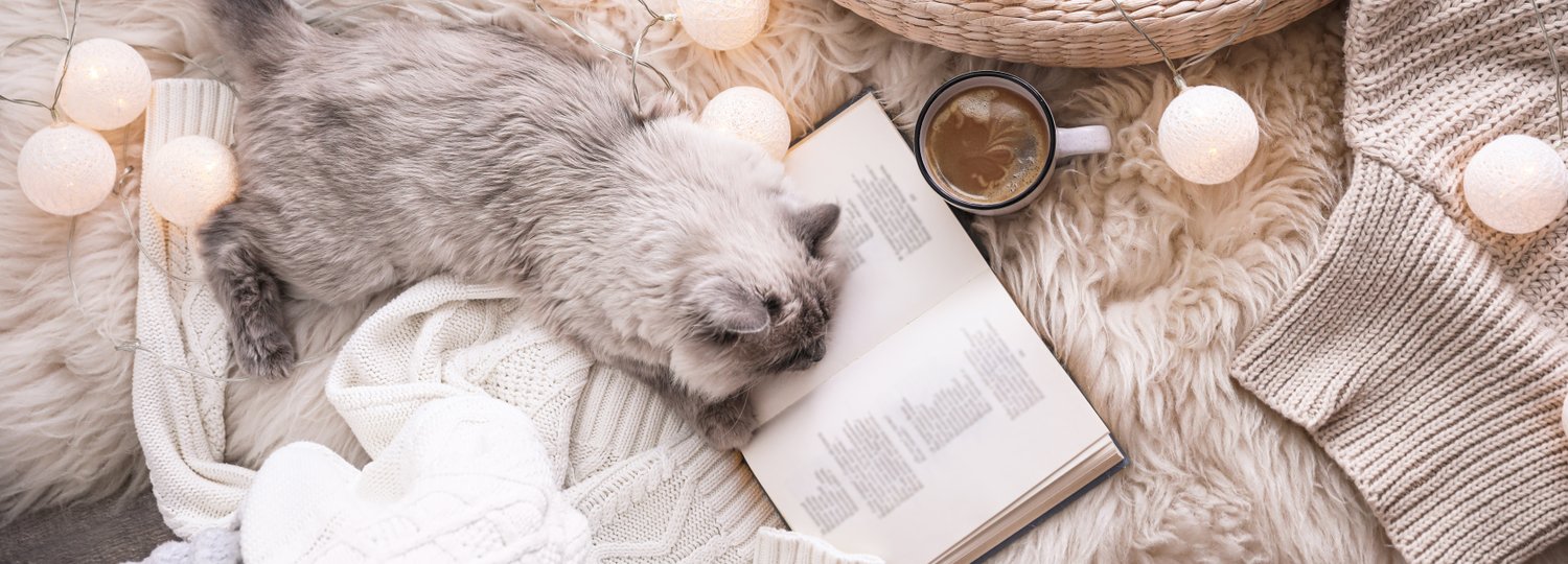 Photo of Birman cat, cup of drink and book on rug at home, top view. Banner design