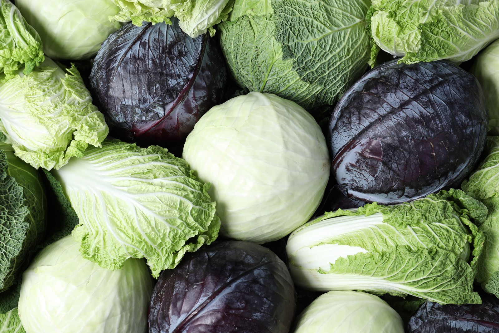 Photo of different types of cabbage as background, top view
