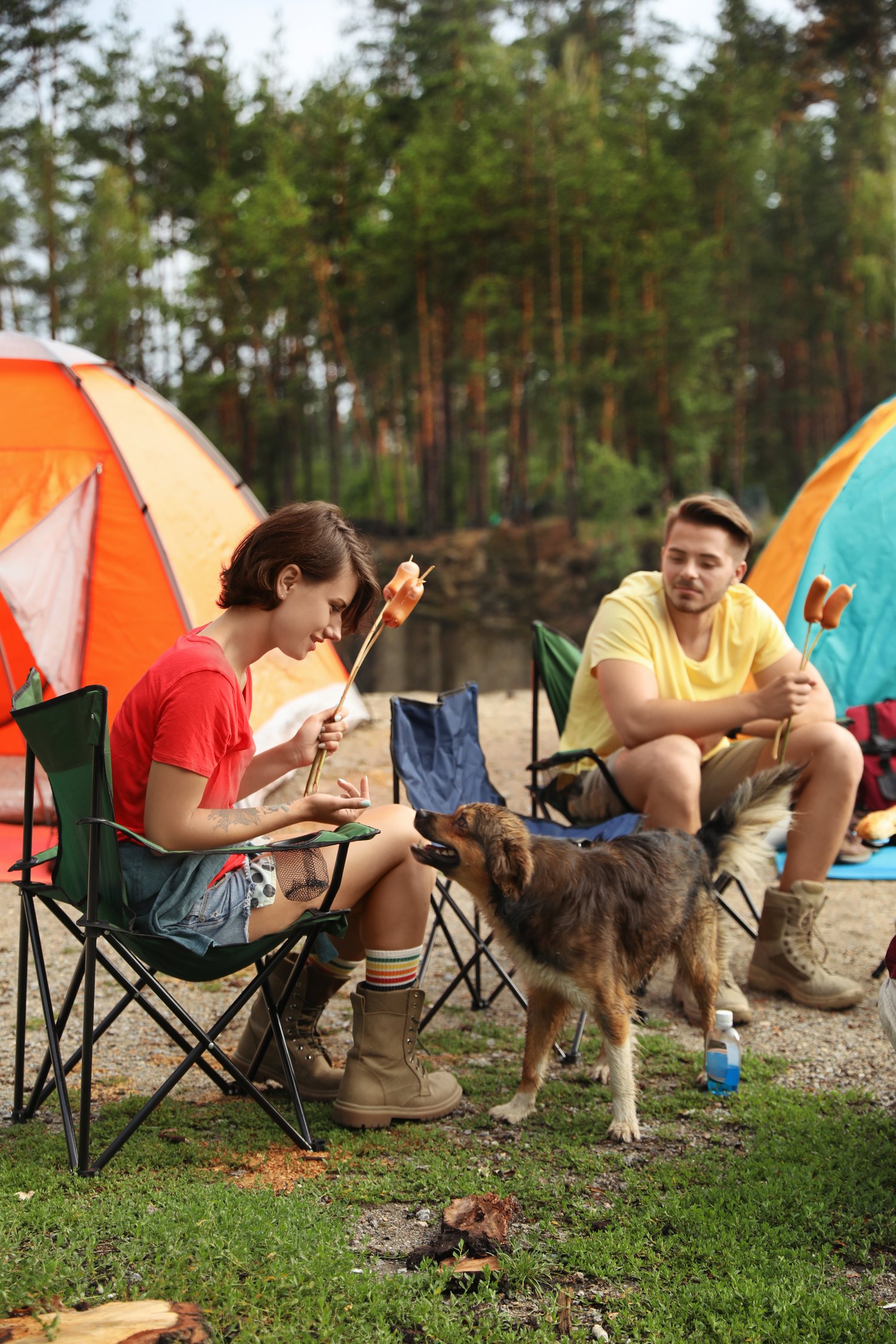 Photo of young people having lunch with sausages near camping tents outdoors