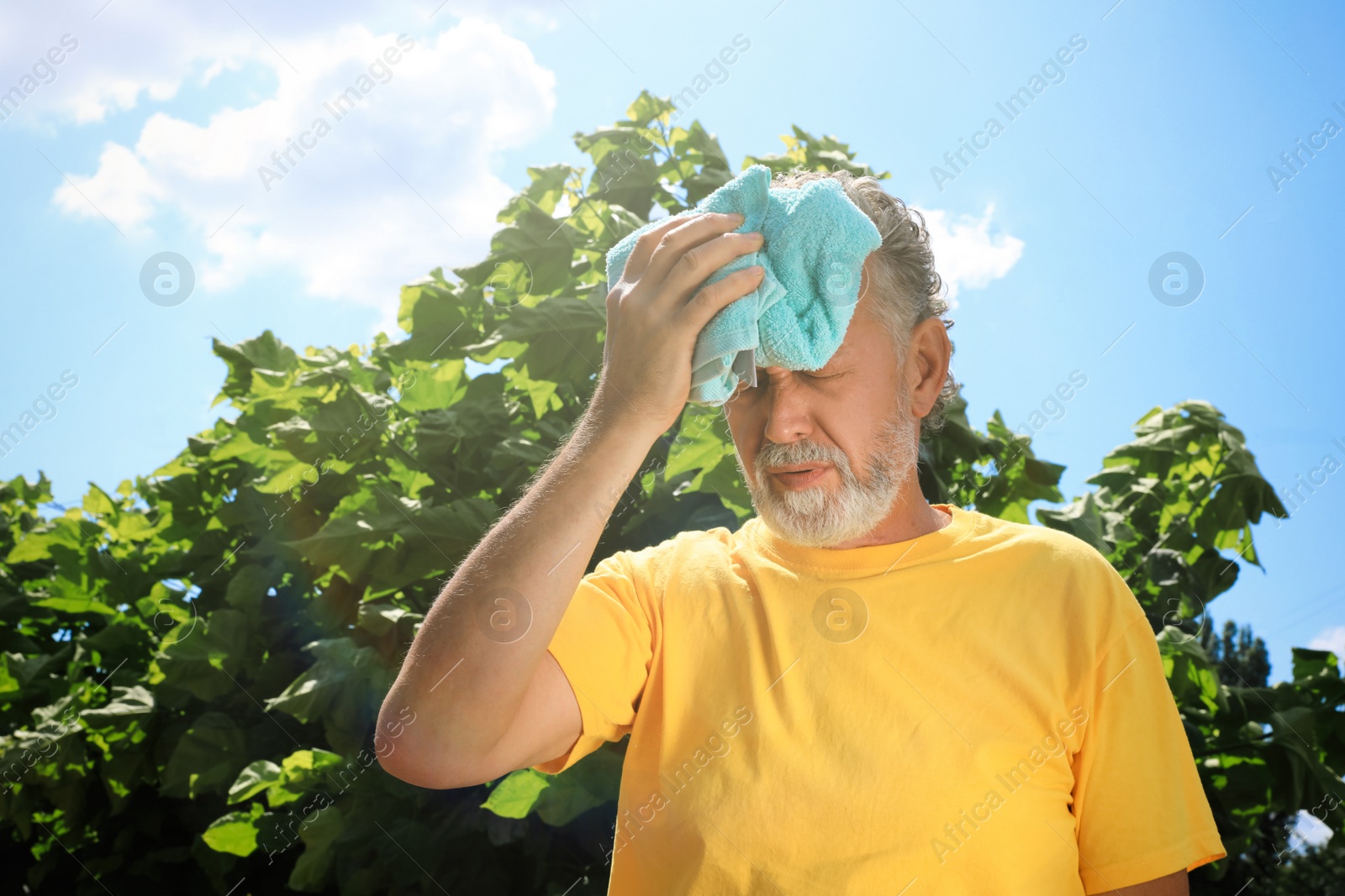Photo of Senior man with towel suffering from heat stroke outdoors, space for text