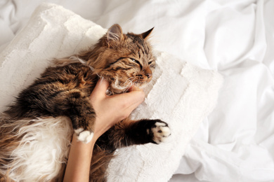 Photo of Woman with her cute cat on bed, closeup. Fluffy pet