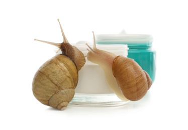 Photo of Snails and jars with cream isolated on white