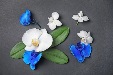 Photo of Beautiful tropical orchid flowers on black background, top view