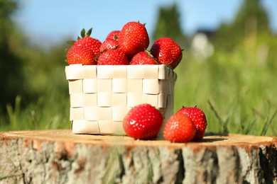 Photo of Basket and ripe strawberries on tree stump outdoors, closeup