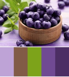 Image of Color palette appropriate to photo of tasty fresh blueberries on wooden table, closeup