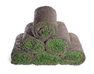 Photo of Rolls of grass sod on white background