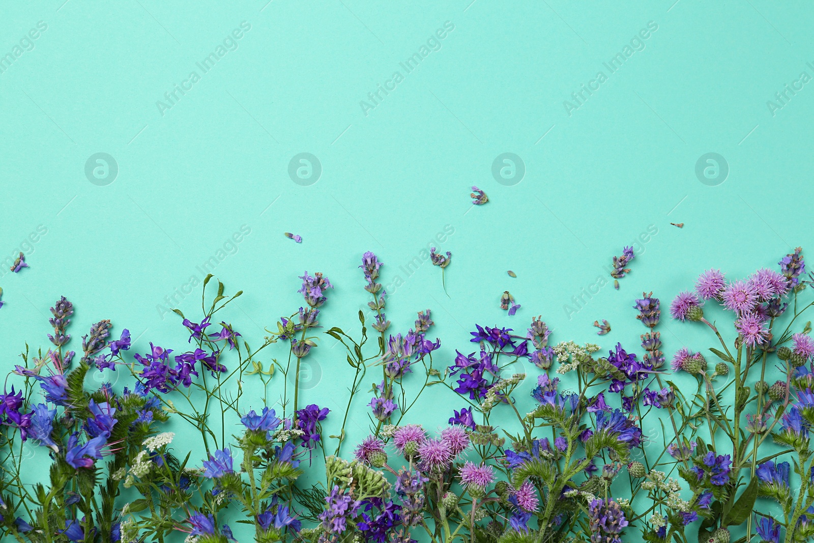 Photo of Flat lay composition with different beautiful wild flowers on turquoise background, space for text