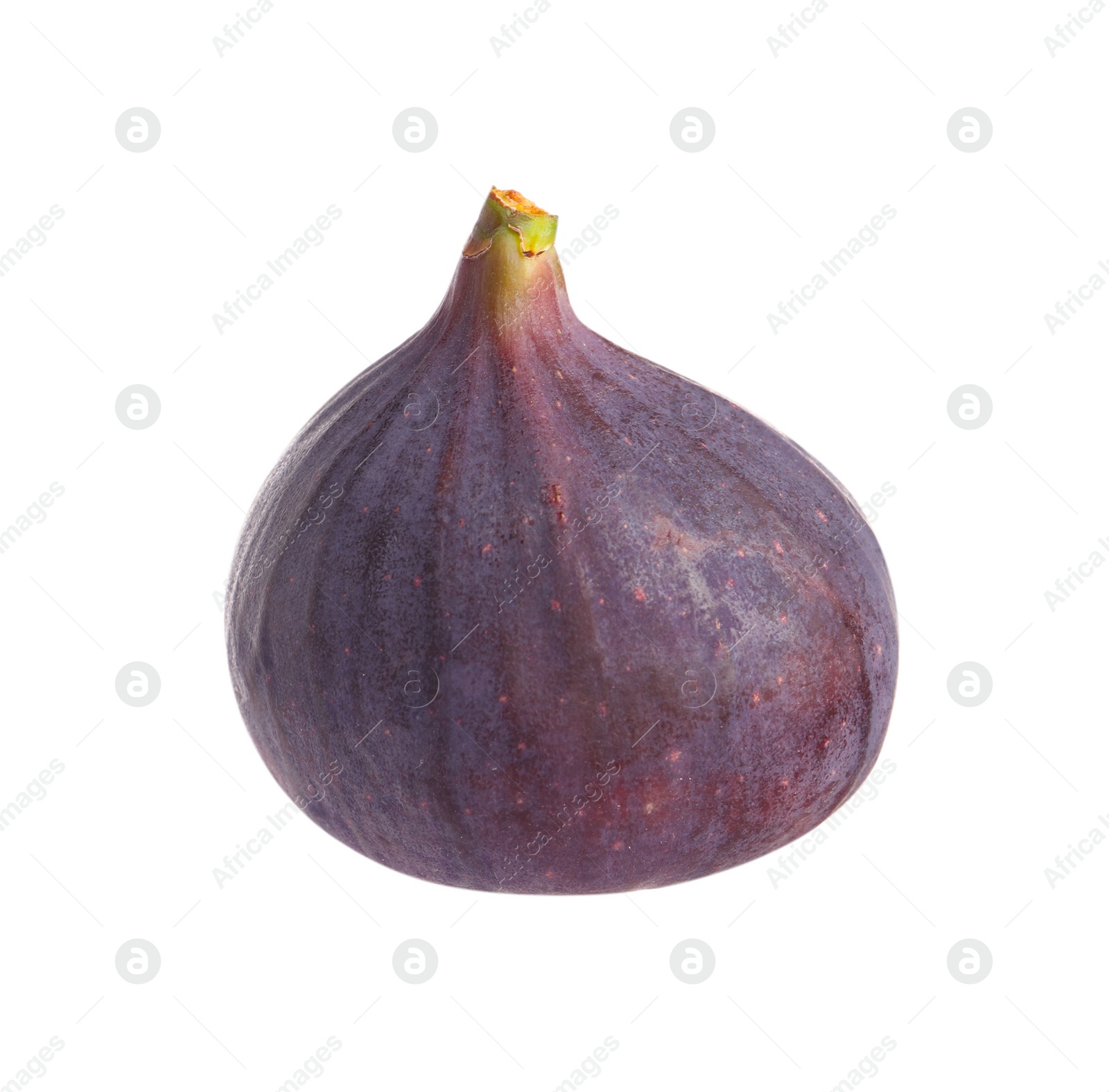 Photo of Whole ripe fresh fig isolated on white