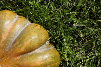 Photo of Ripe pumpkin on green grass, top view with space for text. Autumn harvest
