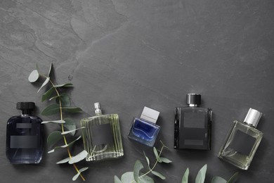 Photo of Floral fragrance. Luxury perfumes and eucalyptus branches on black table, flat lay. Space for text