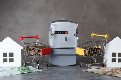 Electricity meter, house models, small shopping carts with coins and euro banknotes on grey table