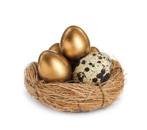 Photo of Nest with golden eggs and quail one on white background