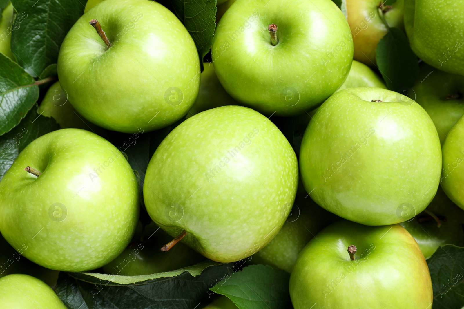 Photo of Pile of tasty green apples with leaves as background, top view