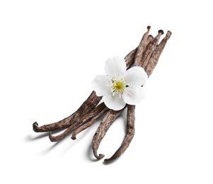 Vanilla sticks and flower on white background