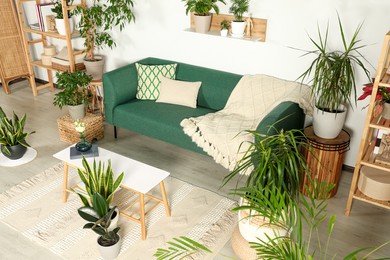 Photo of Living room interior with beautiful different potted green plants and furniture. House decor