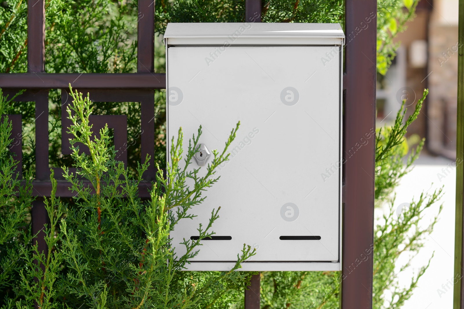 Photo of White metal letter box on fence near tree outdoors