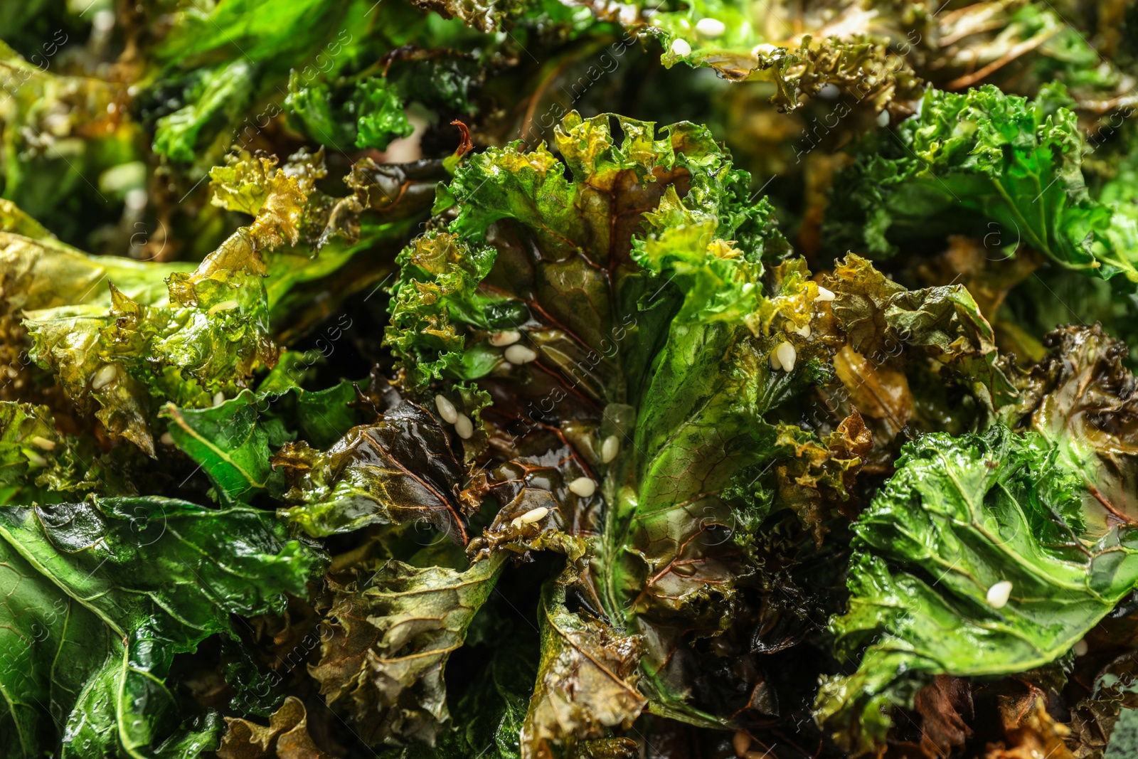 Photo of Tasty baked kale chips as background, closeup