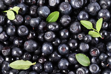 Photo of Fresh bilberries and green leaves as background, top view