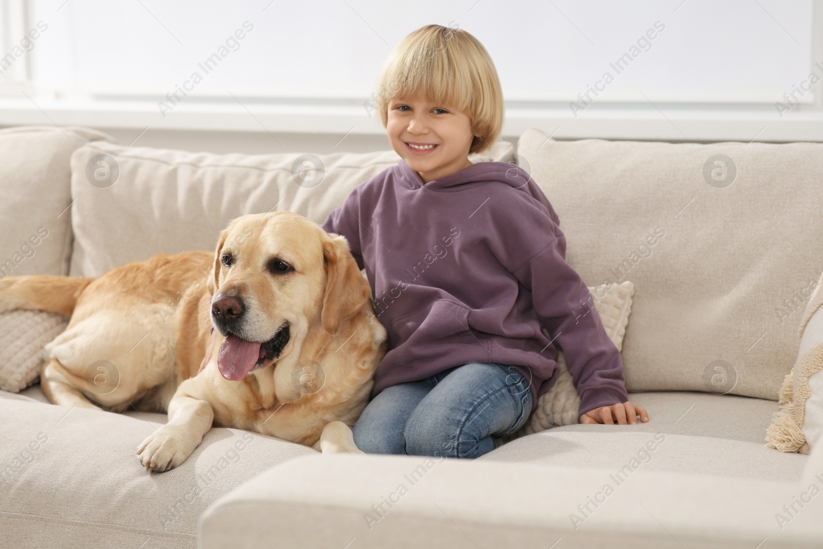 Photo of Cute little child with Golden Retriever on sofa at home. Adorable pet