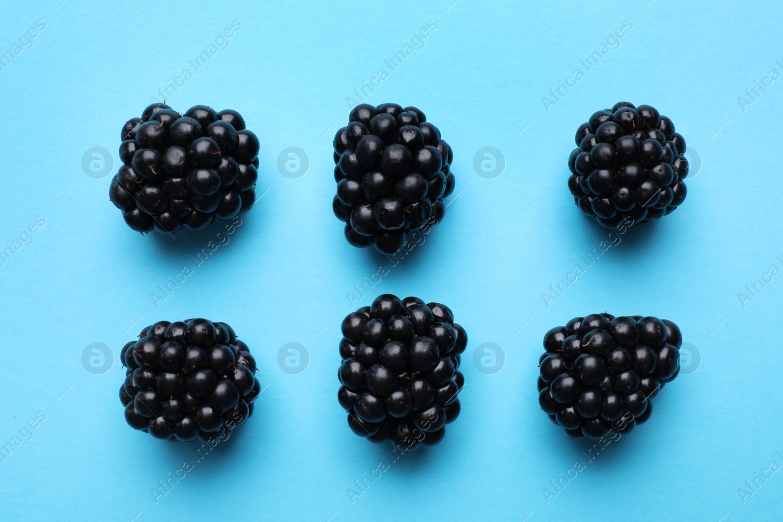 Photo of Tasty ripe blackberries on light blue background, flat lay