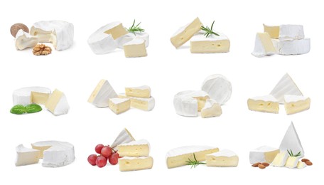 Image of Set with tasty brie cheese on white background 