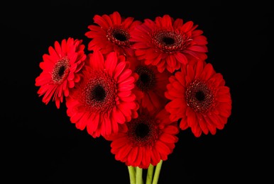 Photo of Bouquet of beautiful red gerbera flowers on black background