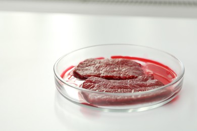 Photo of Petri dish with pieces of raw cultured meat on white table, closeup