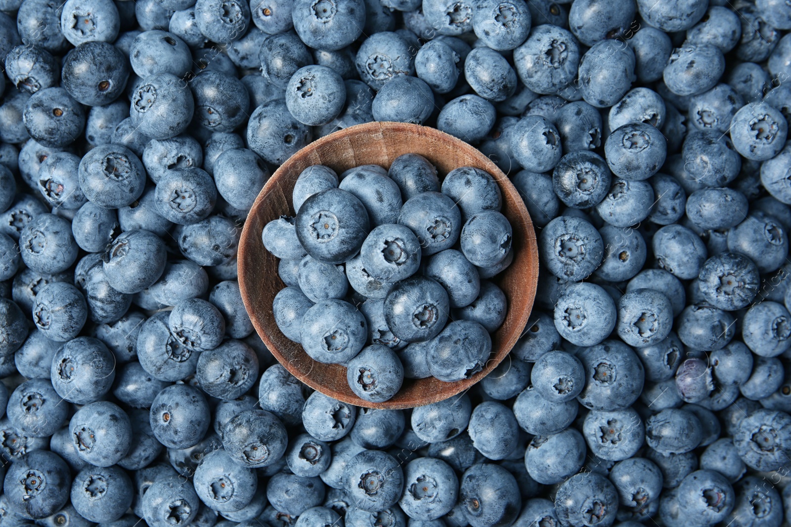 Photo of Freshly picked juicy blueberries as background, top view