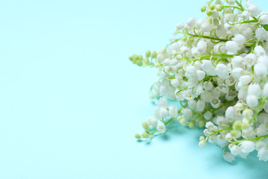 Beautiful lily of the valley flowers on light blue background, closeup. Space for text