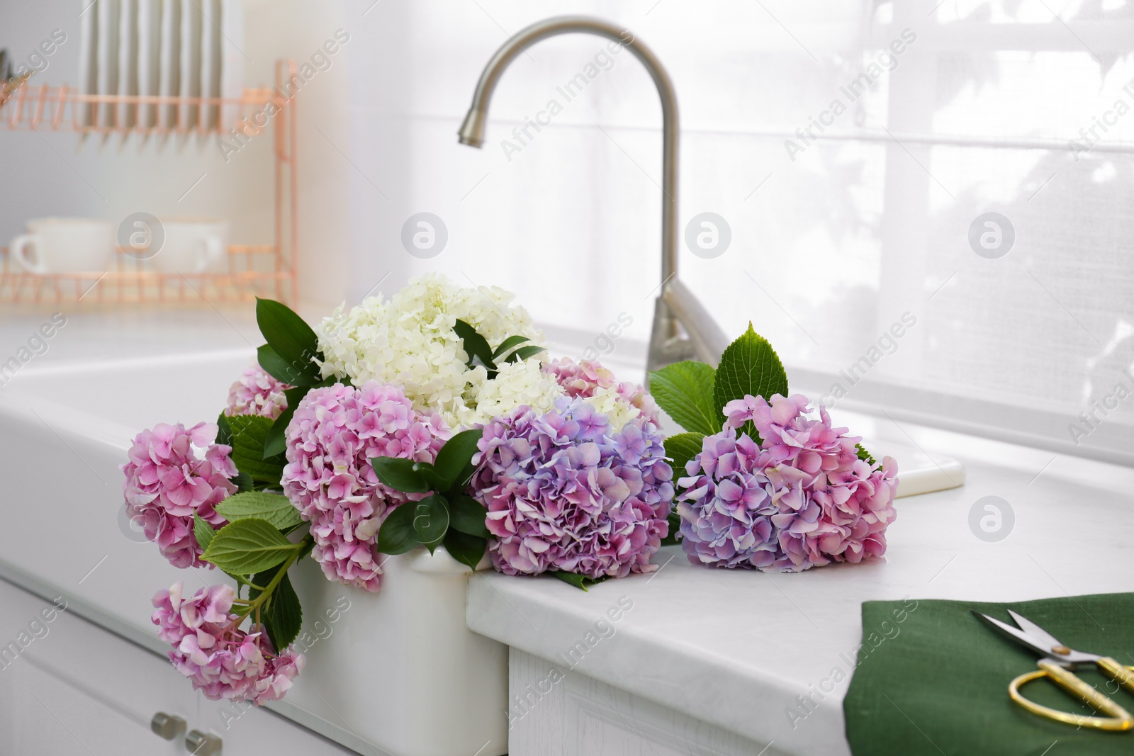 Photo of Bouquet with beautiful hydrangea flowers in sink