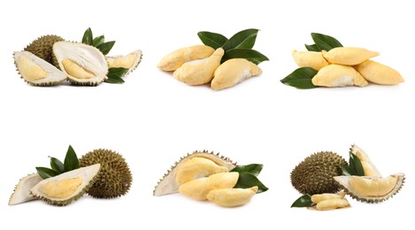 Set with ripe durians on white background