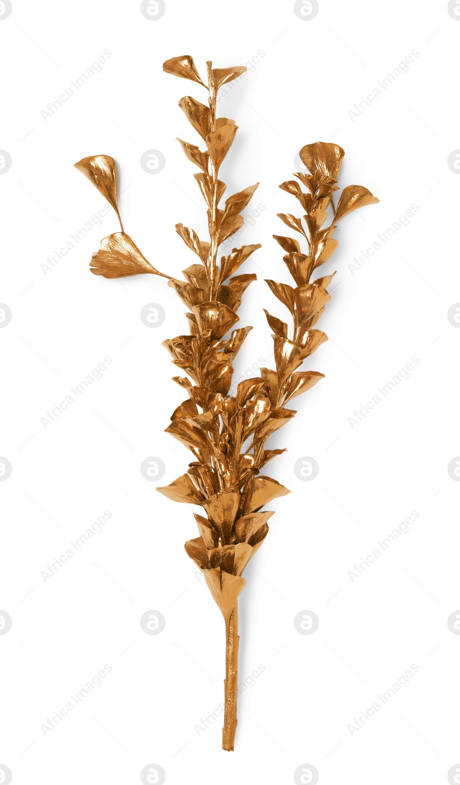 Photo of Shiny golden branch with leaves on white background, top view. Decor element