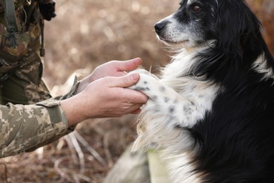 Photo of Stray dog giving paw to Ukrainian soldier outdoors, closeup