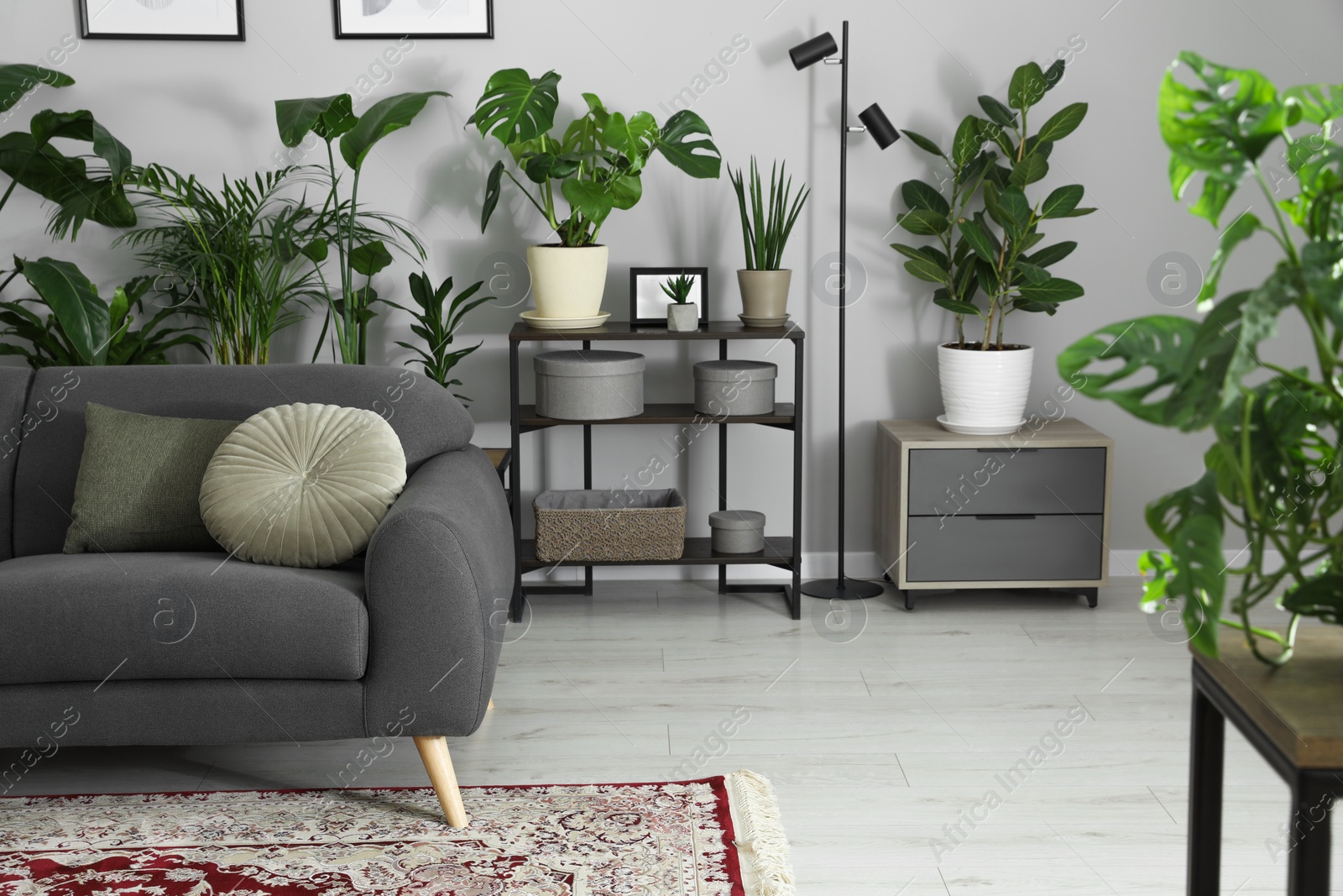 Photo of Cozy room interior with stylish furniture, houseplants and decor elements