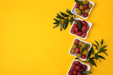 Different fresh olives and green leaves on yellow background, flat lay. Space for text