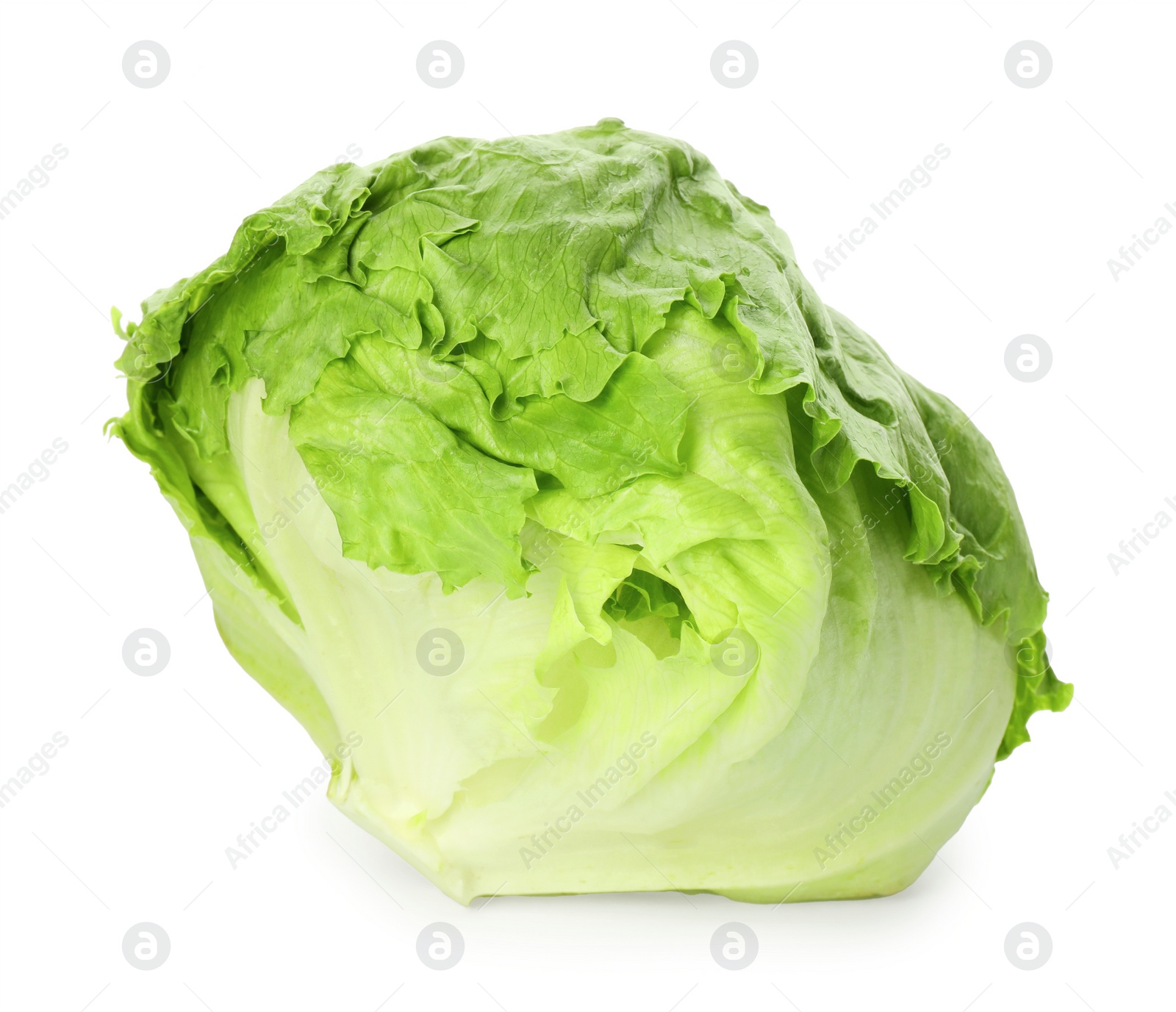 Photo of Fresh green iceberg lettuce isolated on white