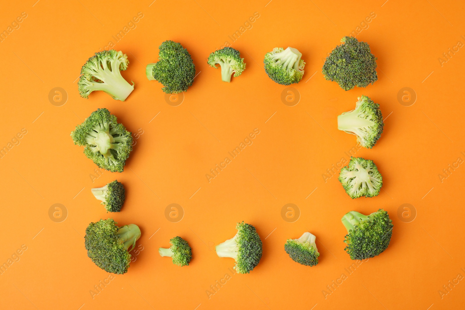 Frame made with fresh green broccoli on color background, flat lay. Space for text Photo of Frame made with fresh green broccoli on color background, flat lay. Space for text