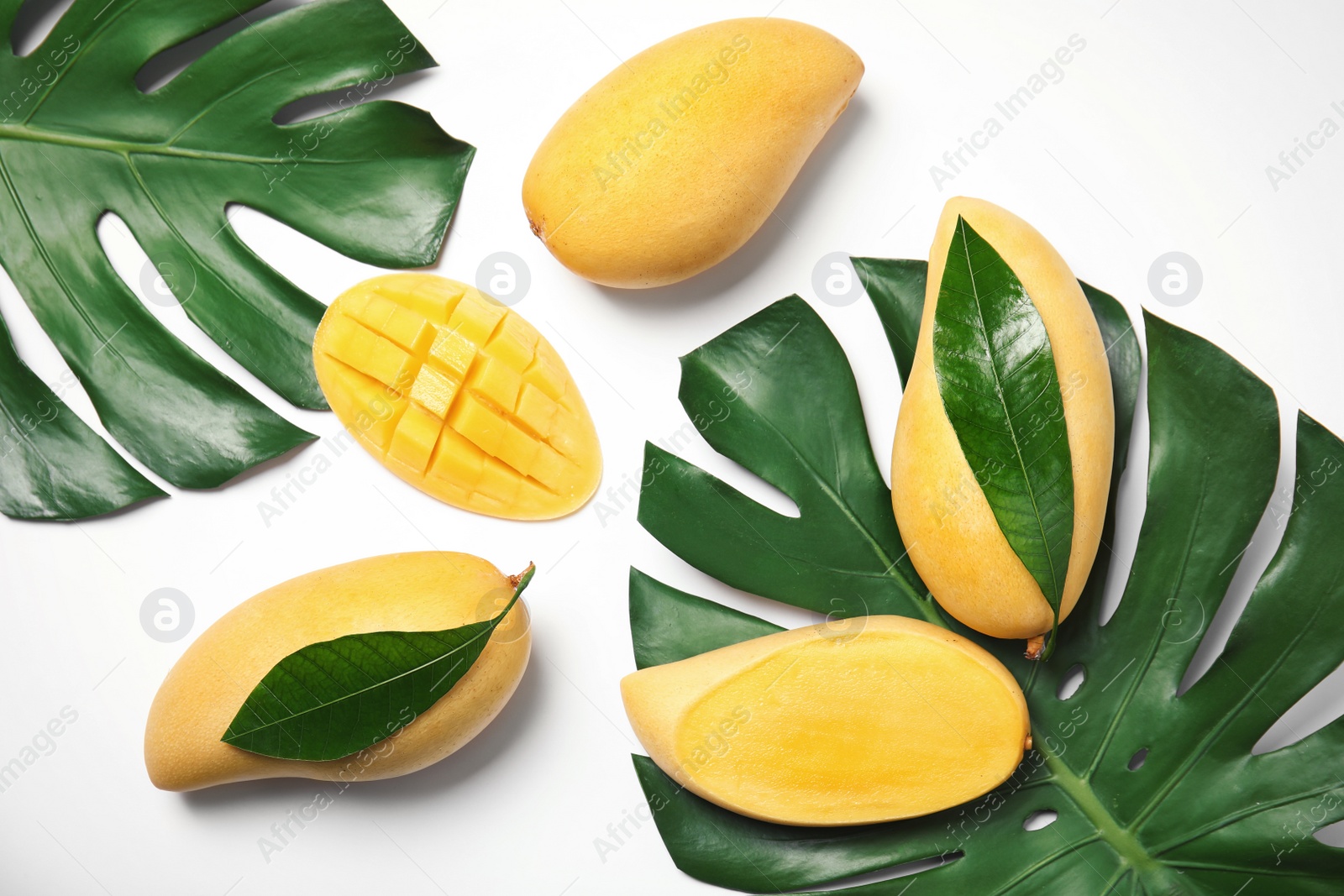 Photo of Composition with fresh mango fruits on white background, top view