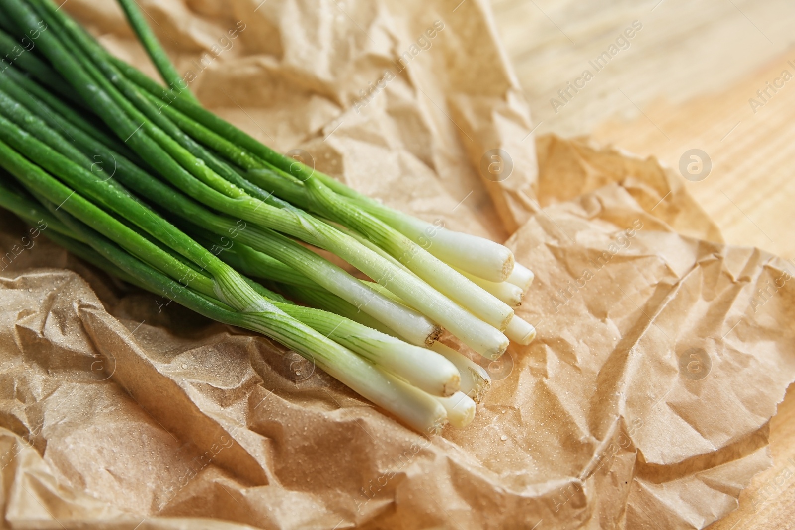 Photo of Fresh green onion on parchment, closeup