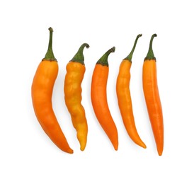 Photo of Fresh raw hot chili peppers on white background, flat lay