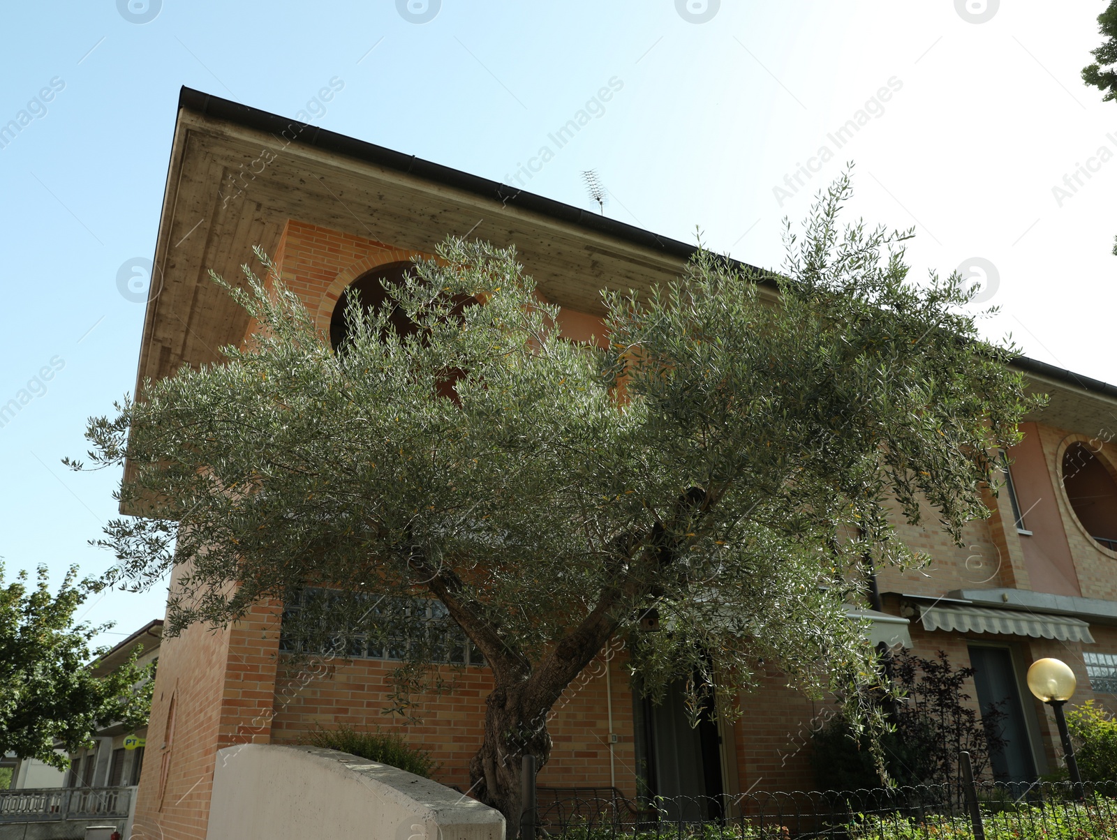 Photo of Beautiful residential building and tree on sunny day