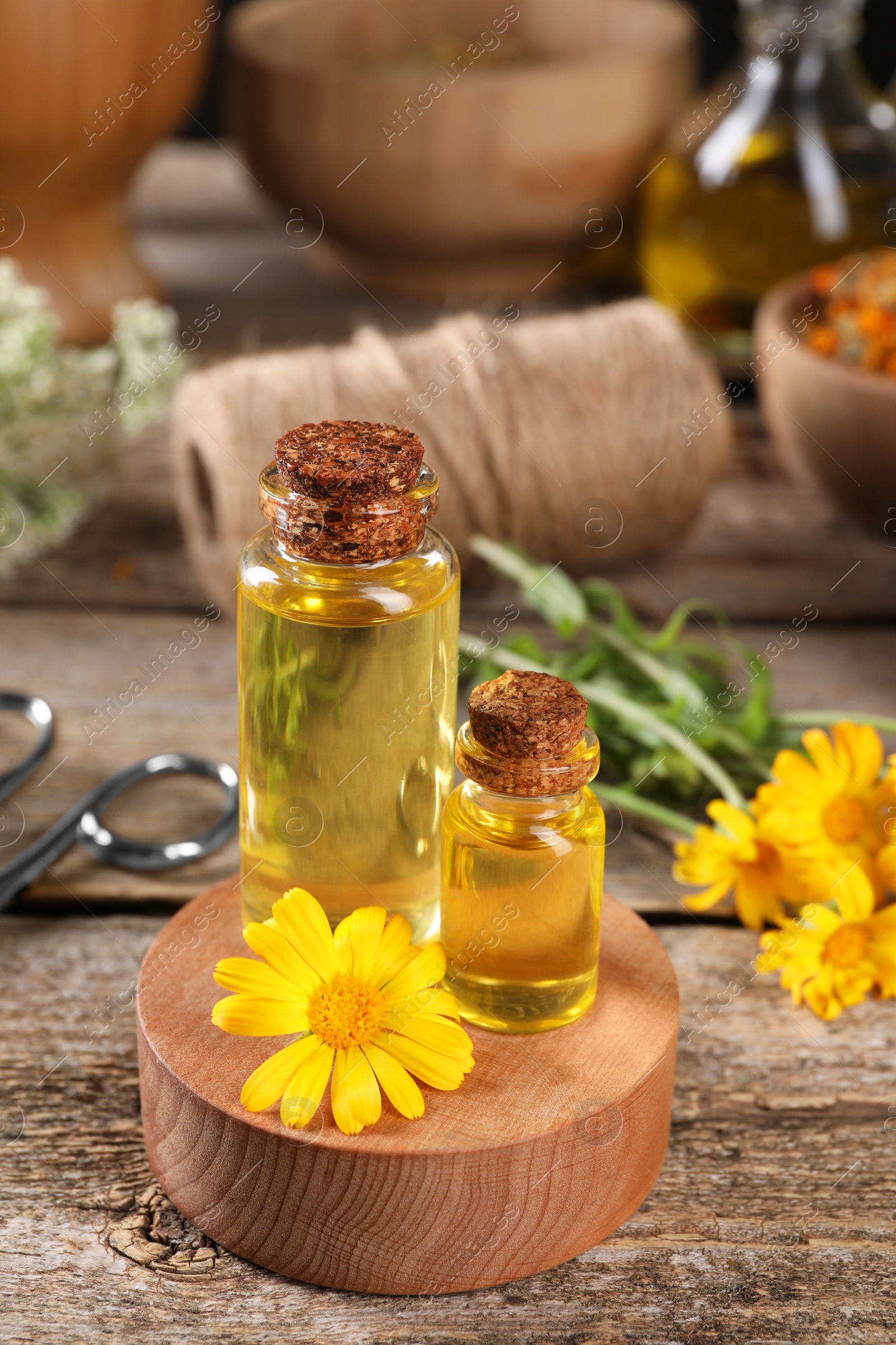 Photo of Bottles of essential oils and calendula flower on wooden table. Medicinal herbs