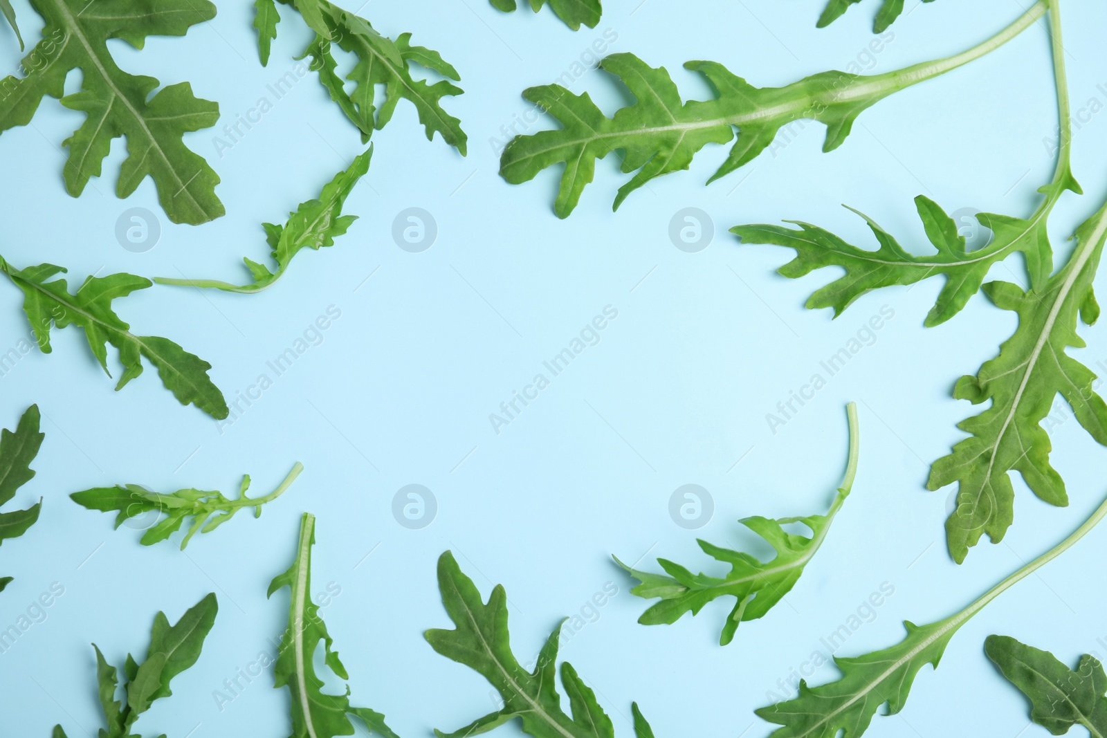 Photo of Frame of fresh arugula on light blue background, flat lay. Space for text