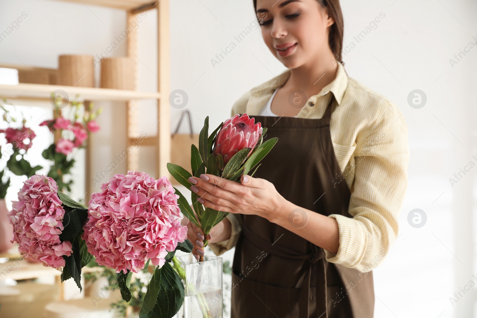 Photo of Florist with beautiful protea flower in workshop