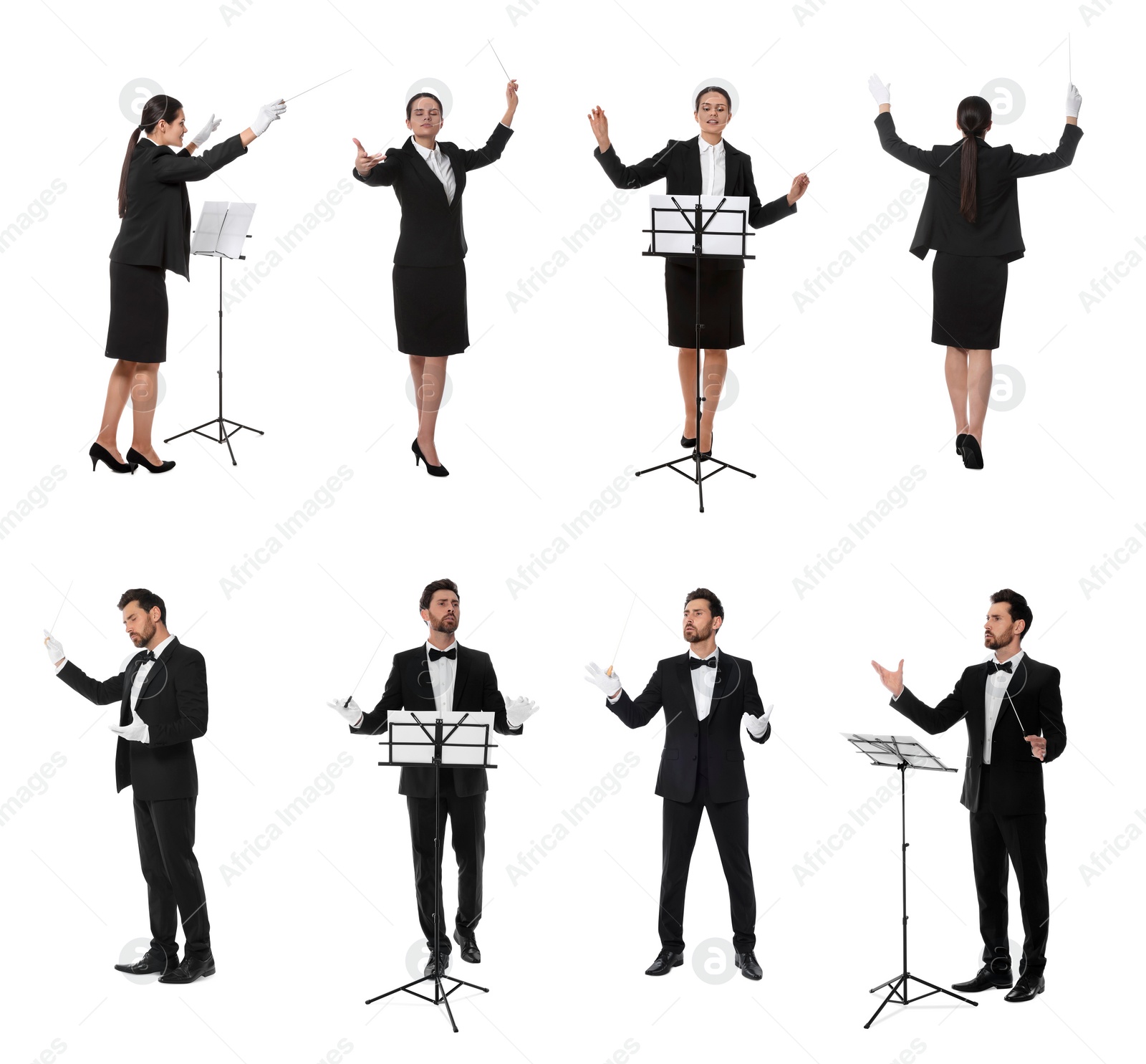 Image of Collage with photos of professional conductors with baton on white background