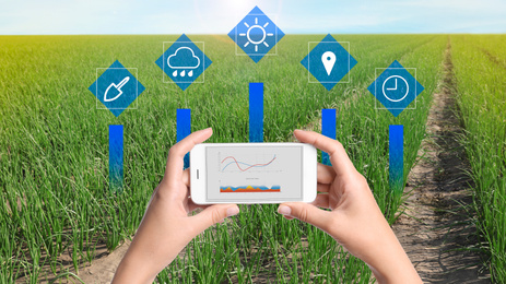 Image of Modern agriculture. Woman with smartphone in field and icons, closeup