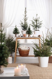 Photo of Potted fir trees and Christmas decorations on table near window in room. Stylish interior design